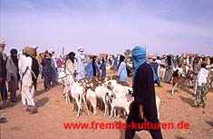 Tuareg-Markt in Agadez