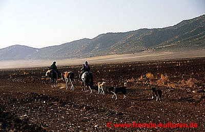 Bei der Fahrt durch die Provinz Luristan begegnet man  immer wieder nomadisierenden Luren, die mit ihren Ziegenherden  und dem gesamten Hausrat zu neuen Weidegründen ziehen.